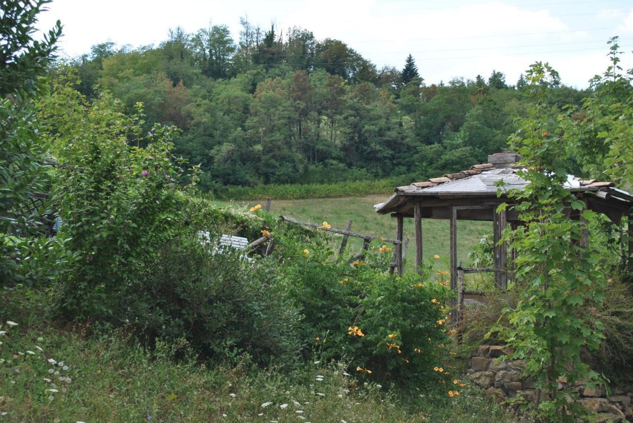 Agriturismo Petrarosa Neviano degli Arduini Dış mekan fotoğraf